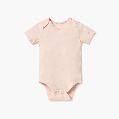Juniors Assorted Bodysuit with Short Sleeves and Button Closure - Set of 3
