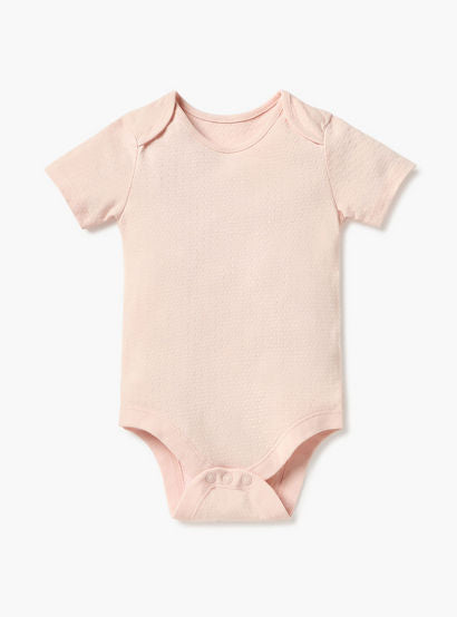 Juniors Assorted Bodysuit with Short Sleeves and Button Closure - Set of 3-baby-girls-clothing-bodysuits-image-3