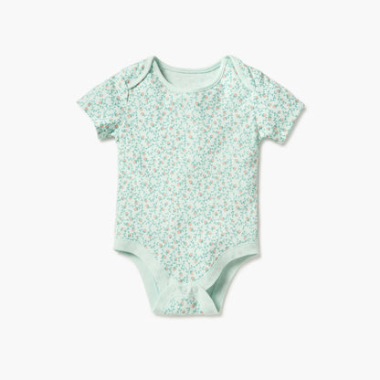 Juniors Assorted Bodysuit with Short Sleeves and Button Closure - Set of 3