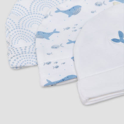 Pack of 3 Juniors Cap with Whale Print