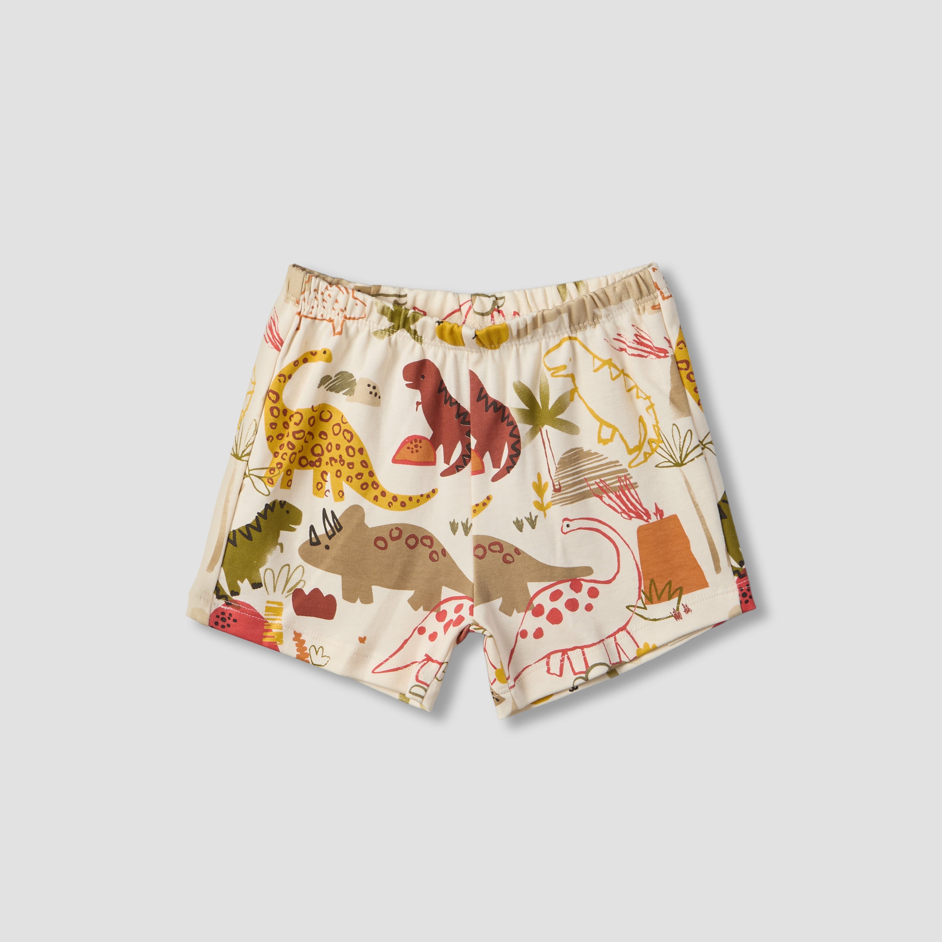 Pack of 2 Juniors Crew Neck Short Sleeves T-shirt and Shorts Set with Safari Print