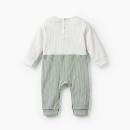 Juniors Cotton Crew Neck Long Sleeves Sleepsuit with Fruit Embroidery
