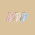 Pack of 3 - Anti-Skid Ankle Length Socks - Multicolour / 15-16