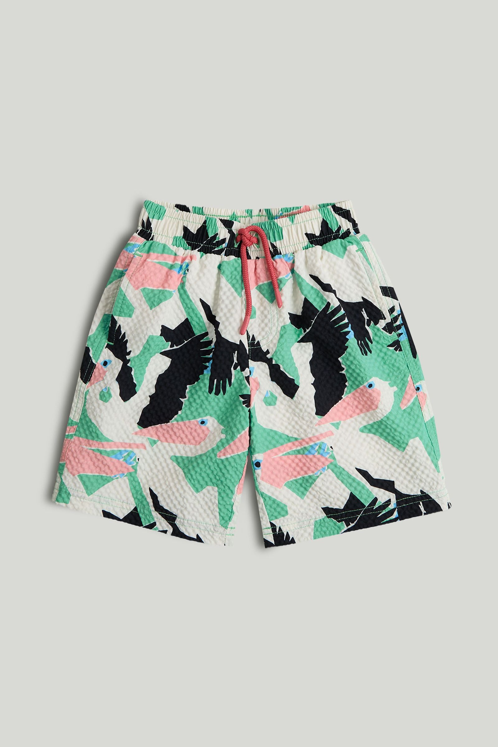 Pelican Swim Shorts - Multicolor / 9-10 Years