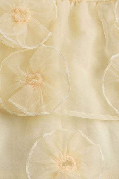 Tulle Dress, Knickers and Headband Outfit