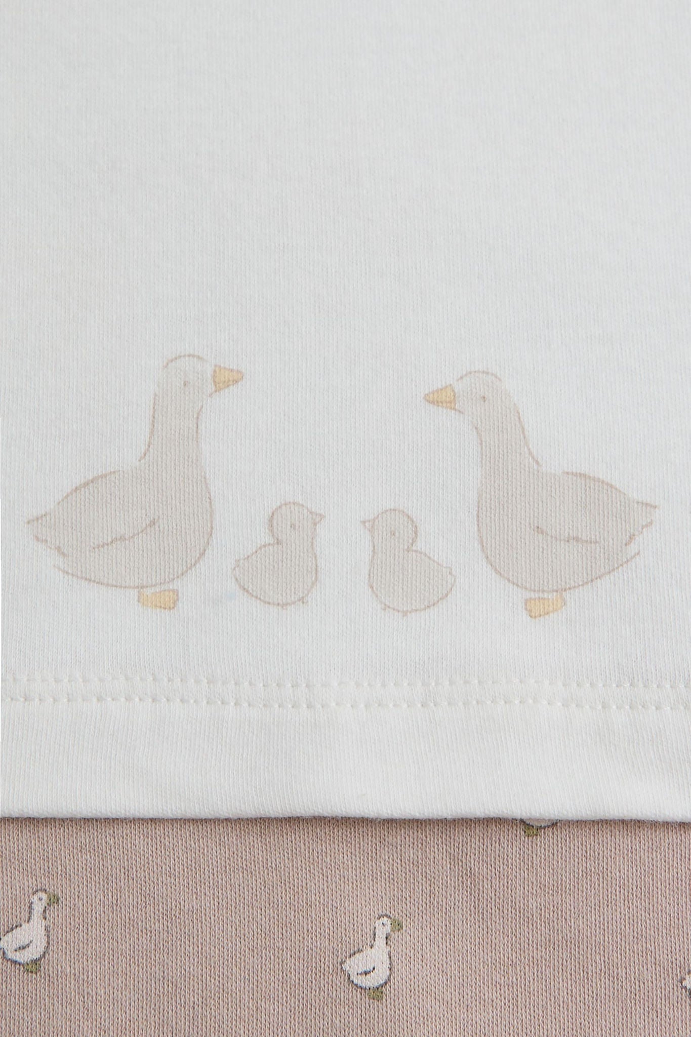 My First Little Goose All-in-One