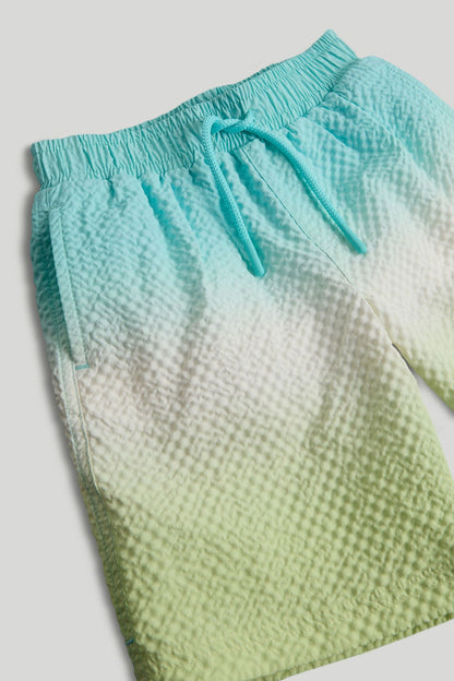 Ombre Swim Shorts