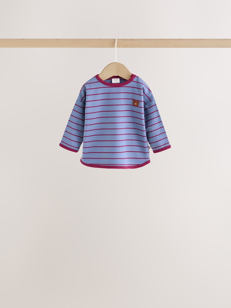 Blue/Brown Bear