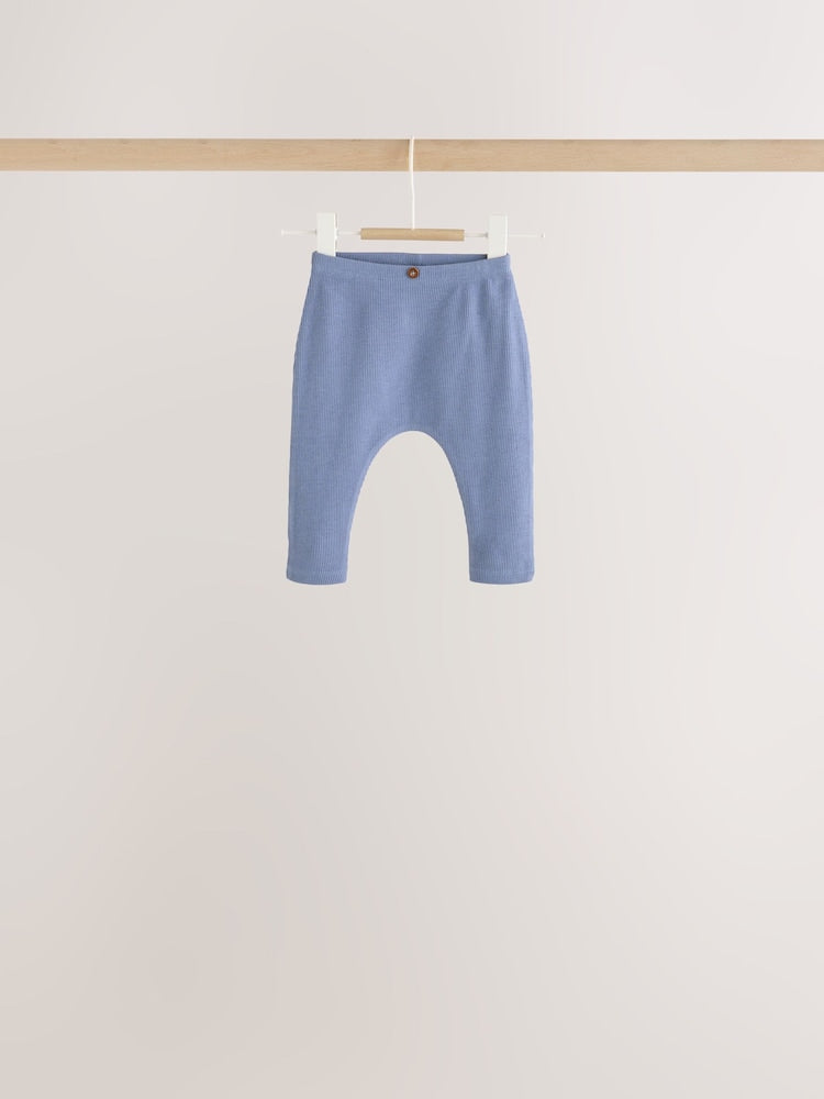 Blue/Brown Bear