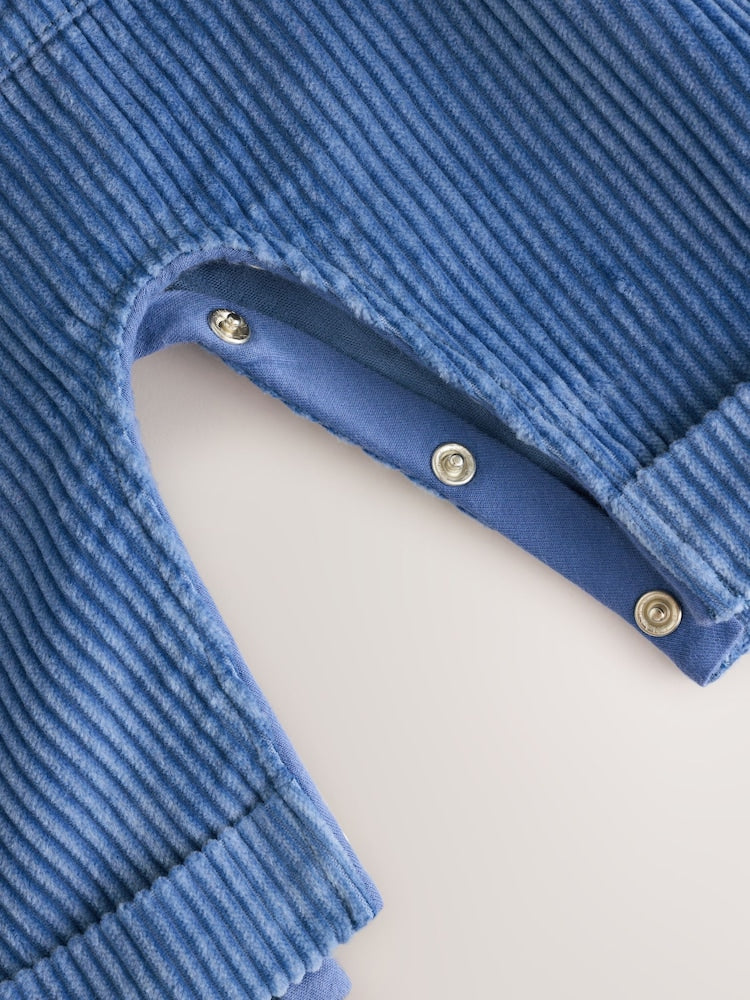 Navy Blue Bear