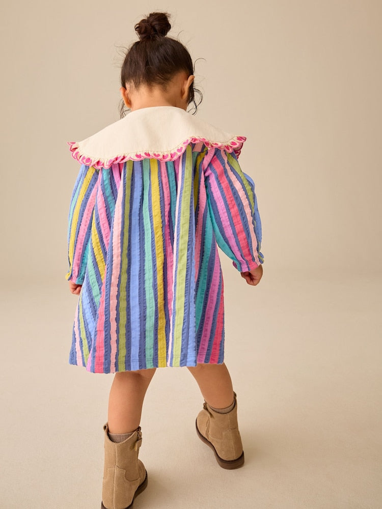 Rainbow Stripe