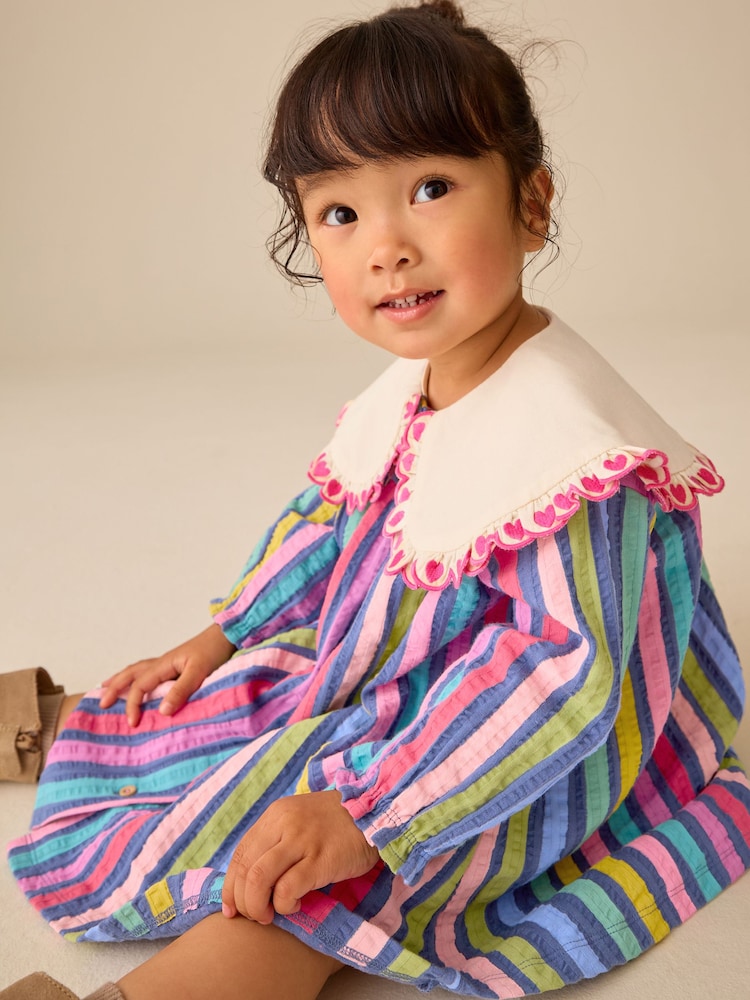 Rainbow Stripe