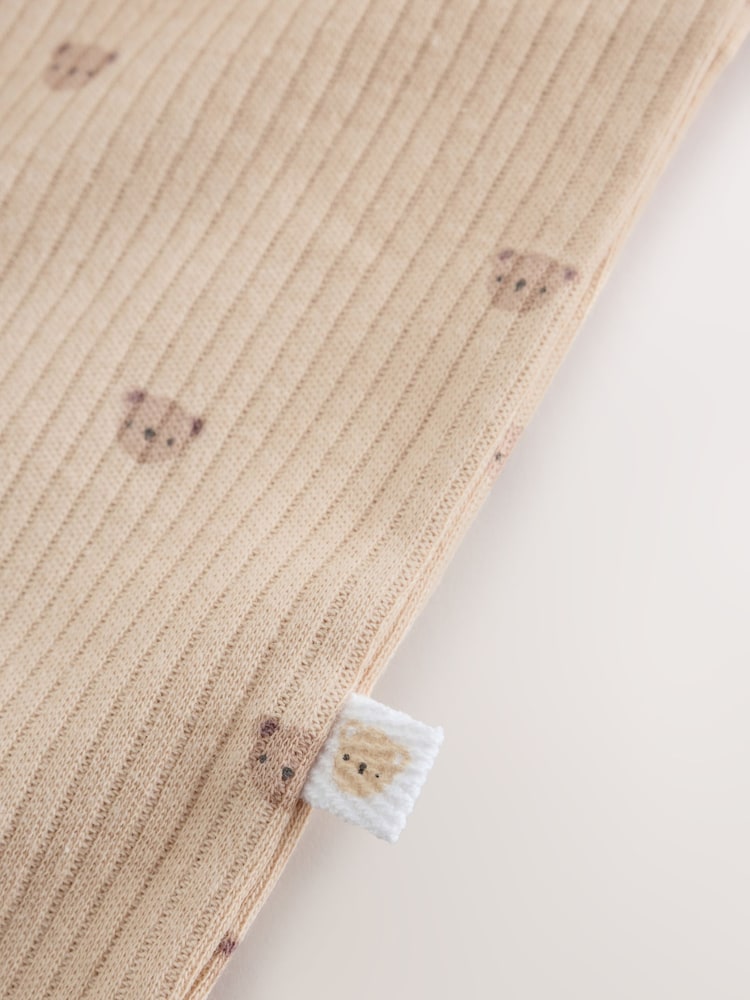 Neutral Brown Bear