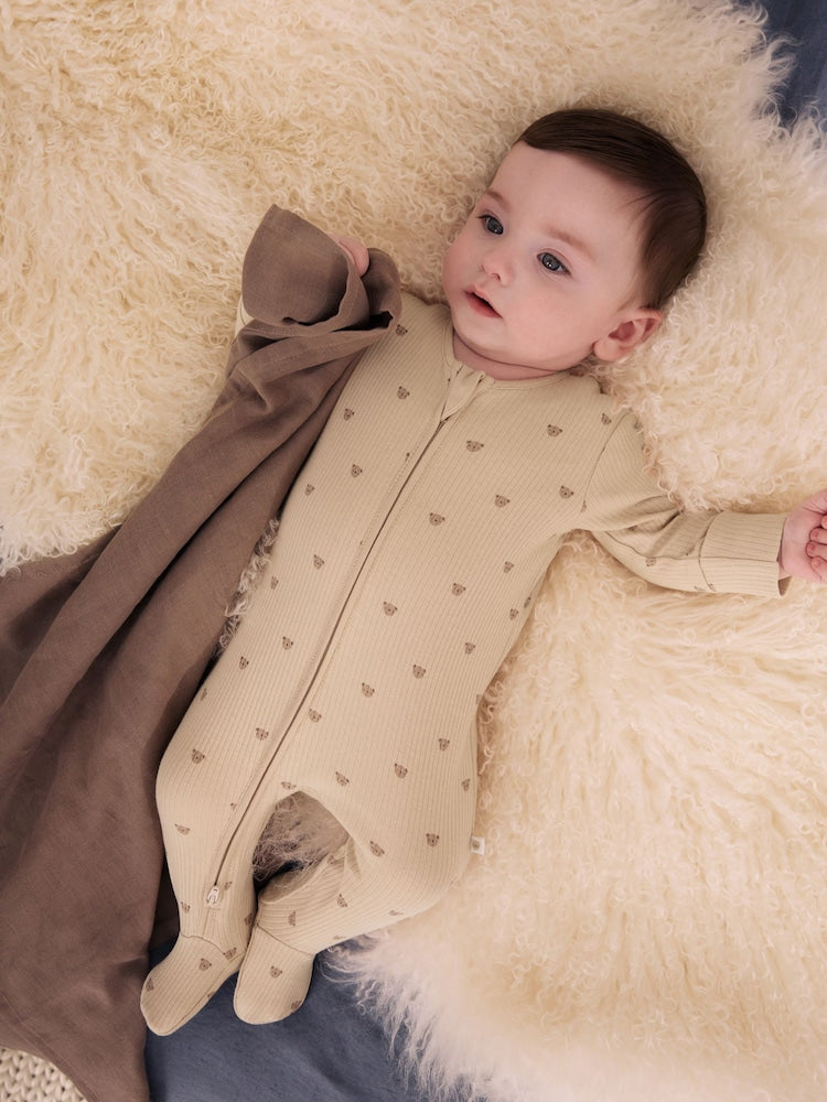 Neutral Brown Bear