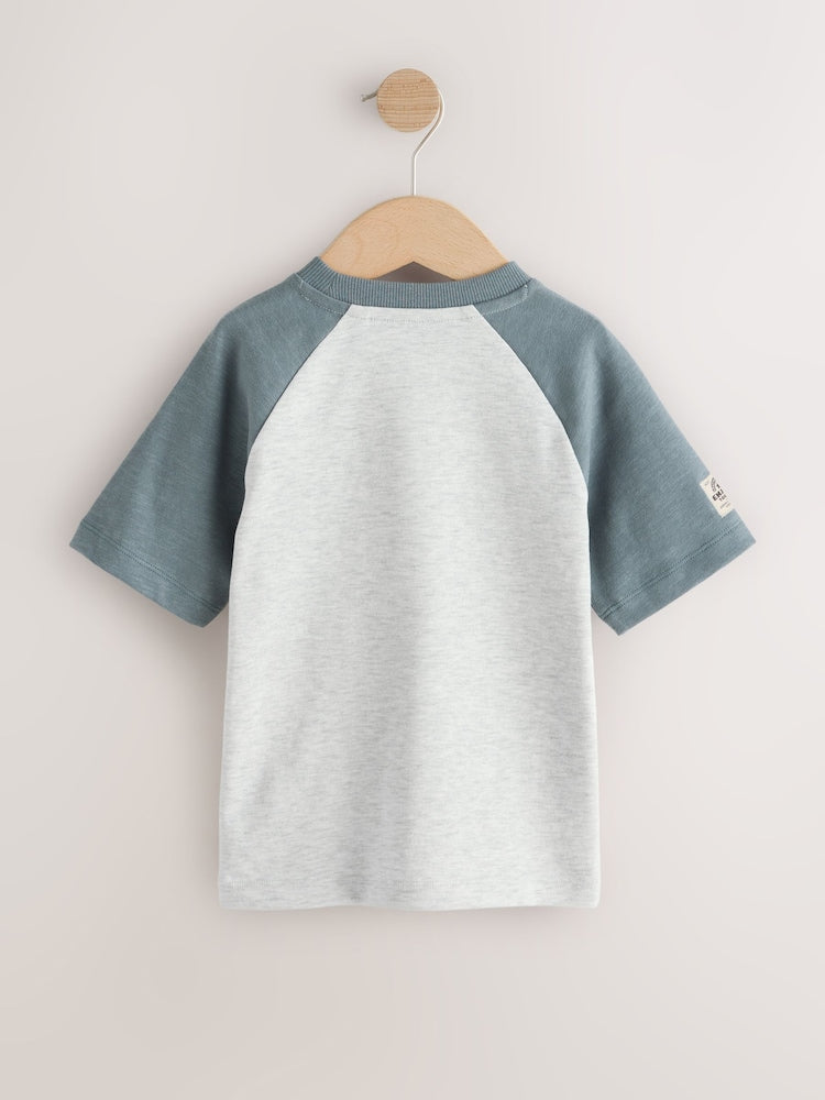 Grey Long Sleeve Raglan T-Shirts 3 Pack (3mths-7yrs)