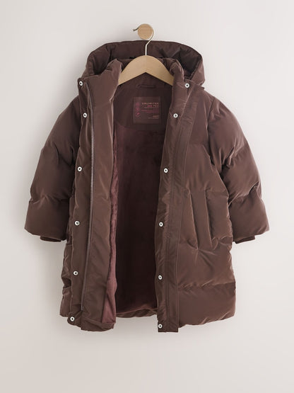 Chocolate Brown