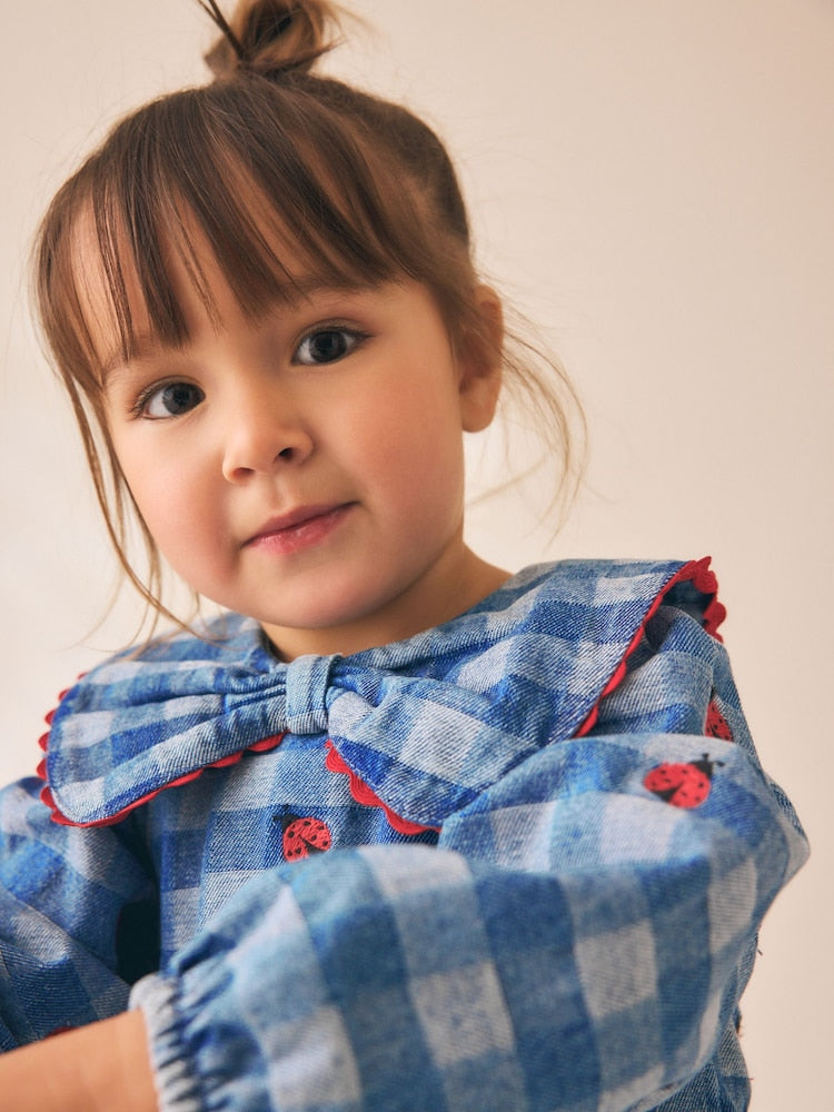Blue Denim Check Long Sleeve Collar Embroidered Ladybird Dress (3mths-8yrs)