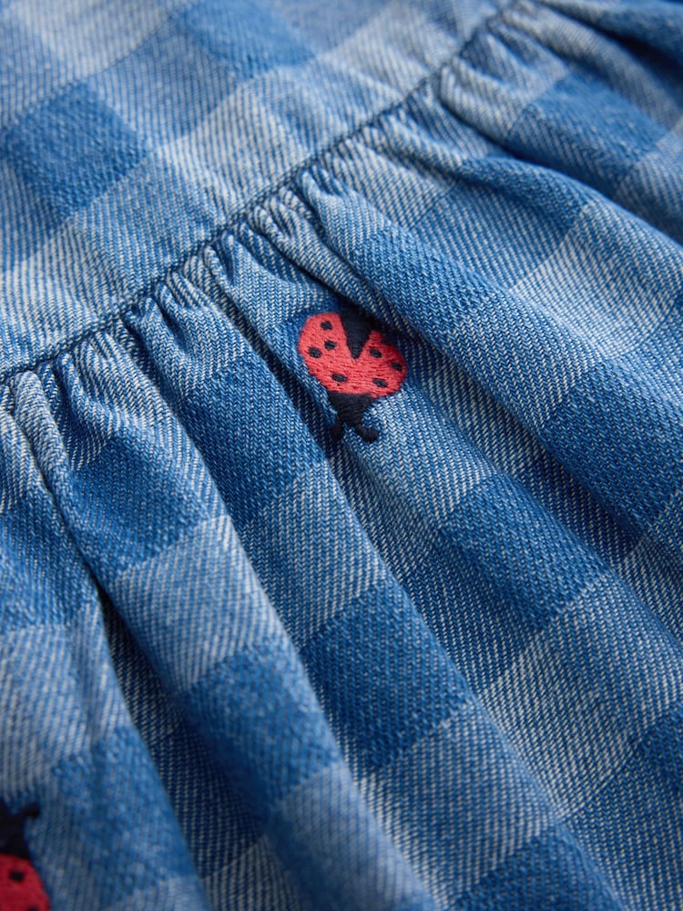 Blue Denim Check Long Sleeve Collar Embroidered Ladybird Dress (3mths-8yrs)