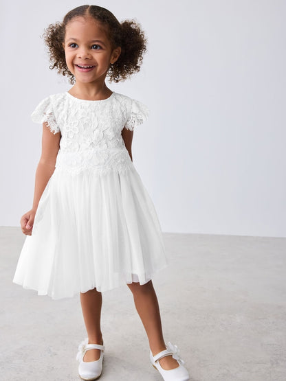 Baker by Ted Baker Lace Mesh Dress