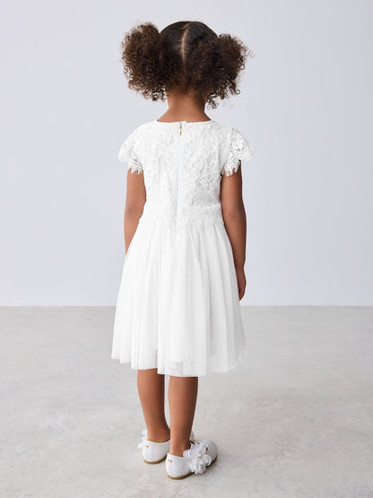 Baker by Ted Baker Lace Mesh Dress