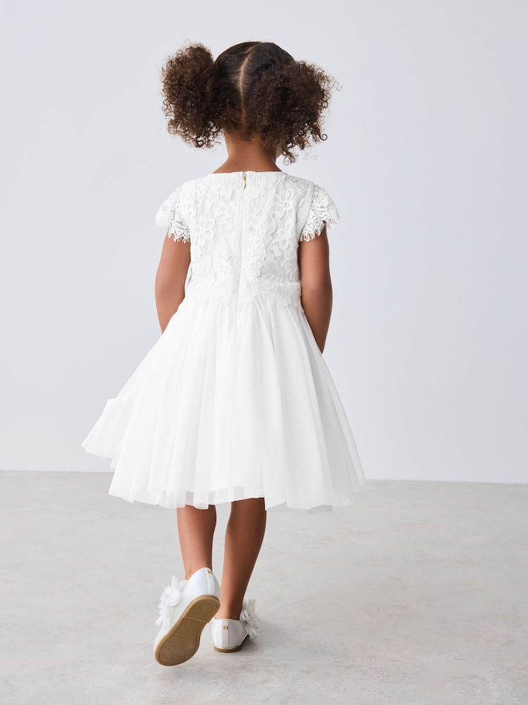 Baker by Ted Baker Lace Mesh Dress