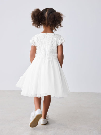 Baker by Ted Baker Lace Mesh Dress