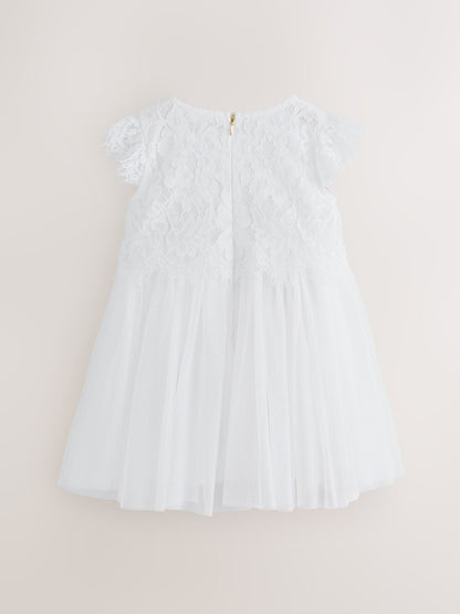 Baker by Ted Baker Lace Mesh Dress