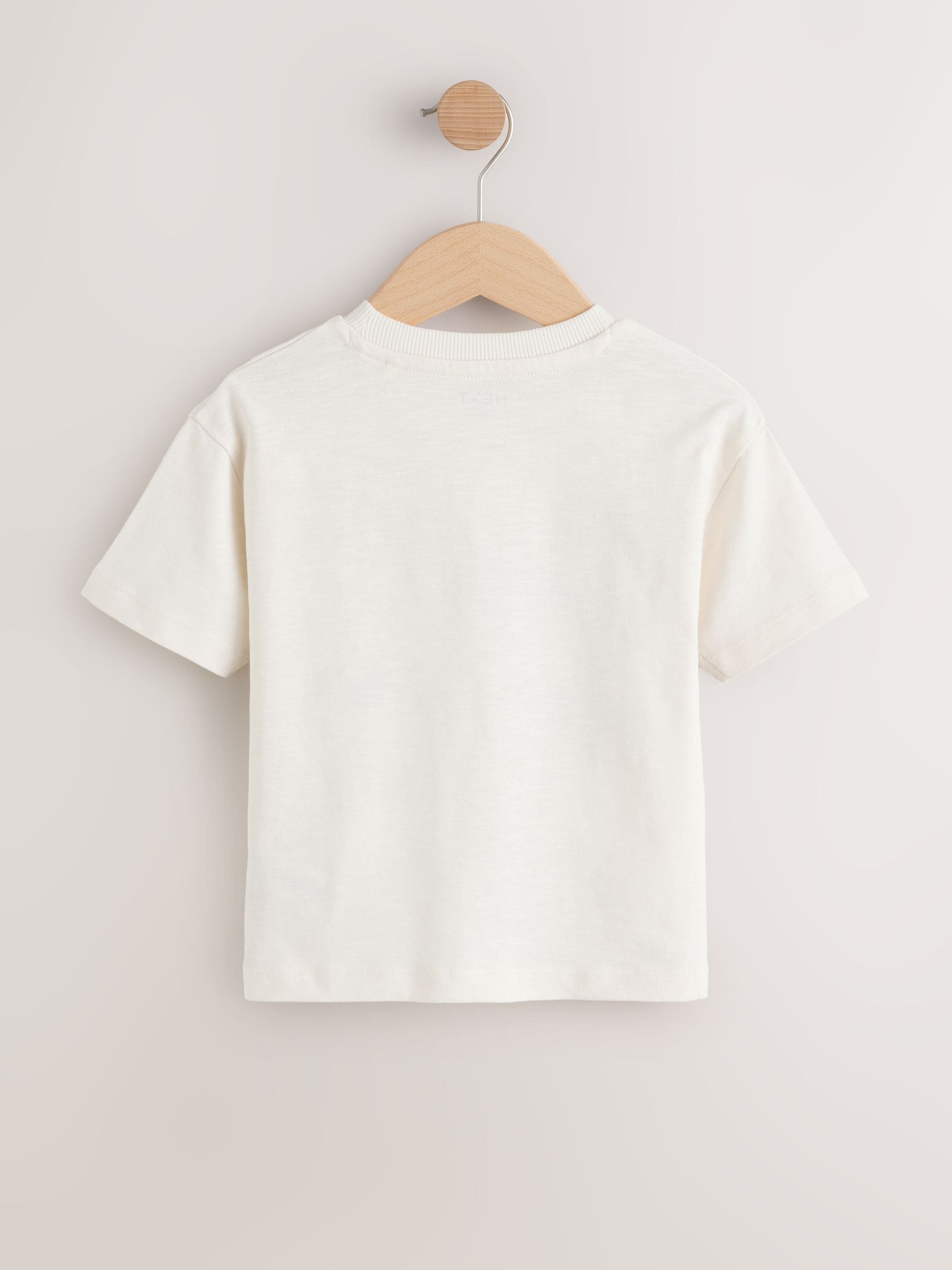 Neutral Beach Palms Short Sleeve Appliqué T-Shirt (3mths-7yrs) - Size 3-6 Months (62-68cm)