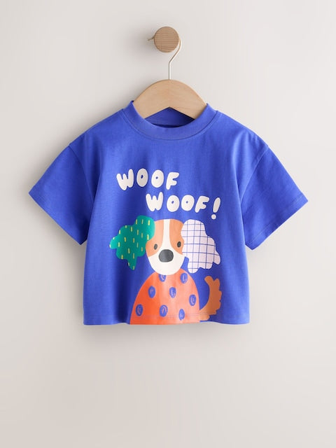 Blue/Green T-Shirts 4 Pack (3mths-7yrs) - Size 3-6 Months (62-68cm)
