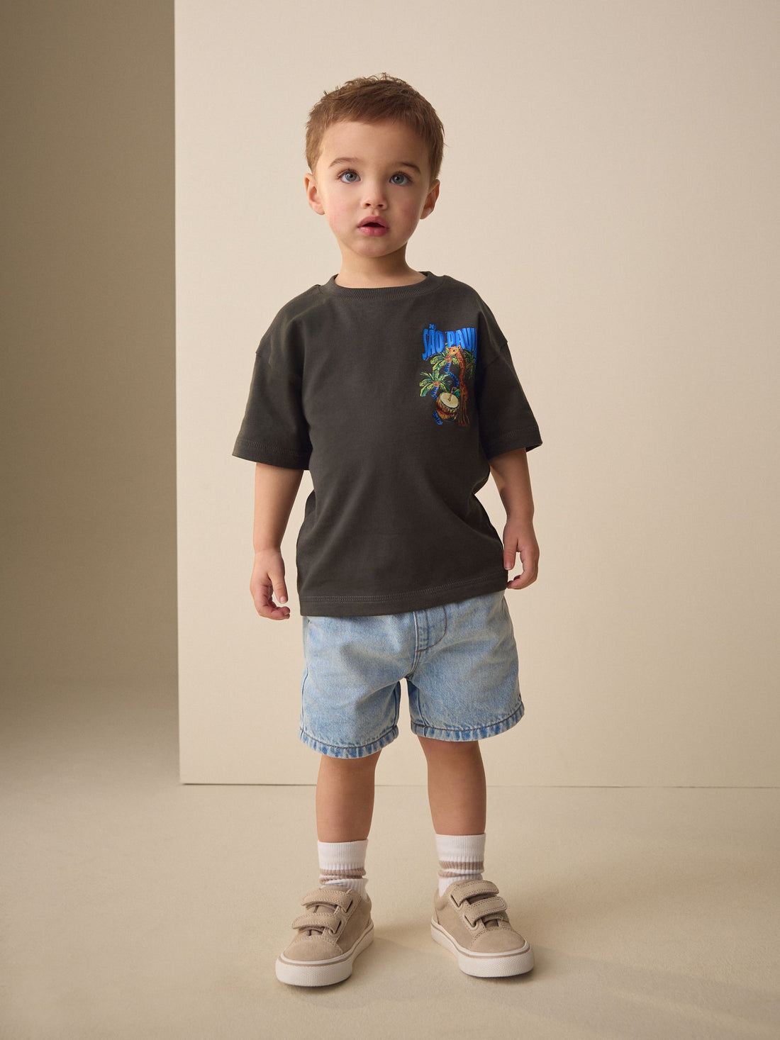 Charcoal Grey Sao Paulo Short Sleeve Back Print T-Shirt (3mths-7yrs) - Size 3-6 Months (62-68cm)