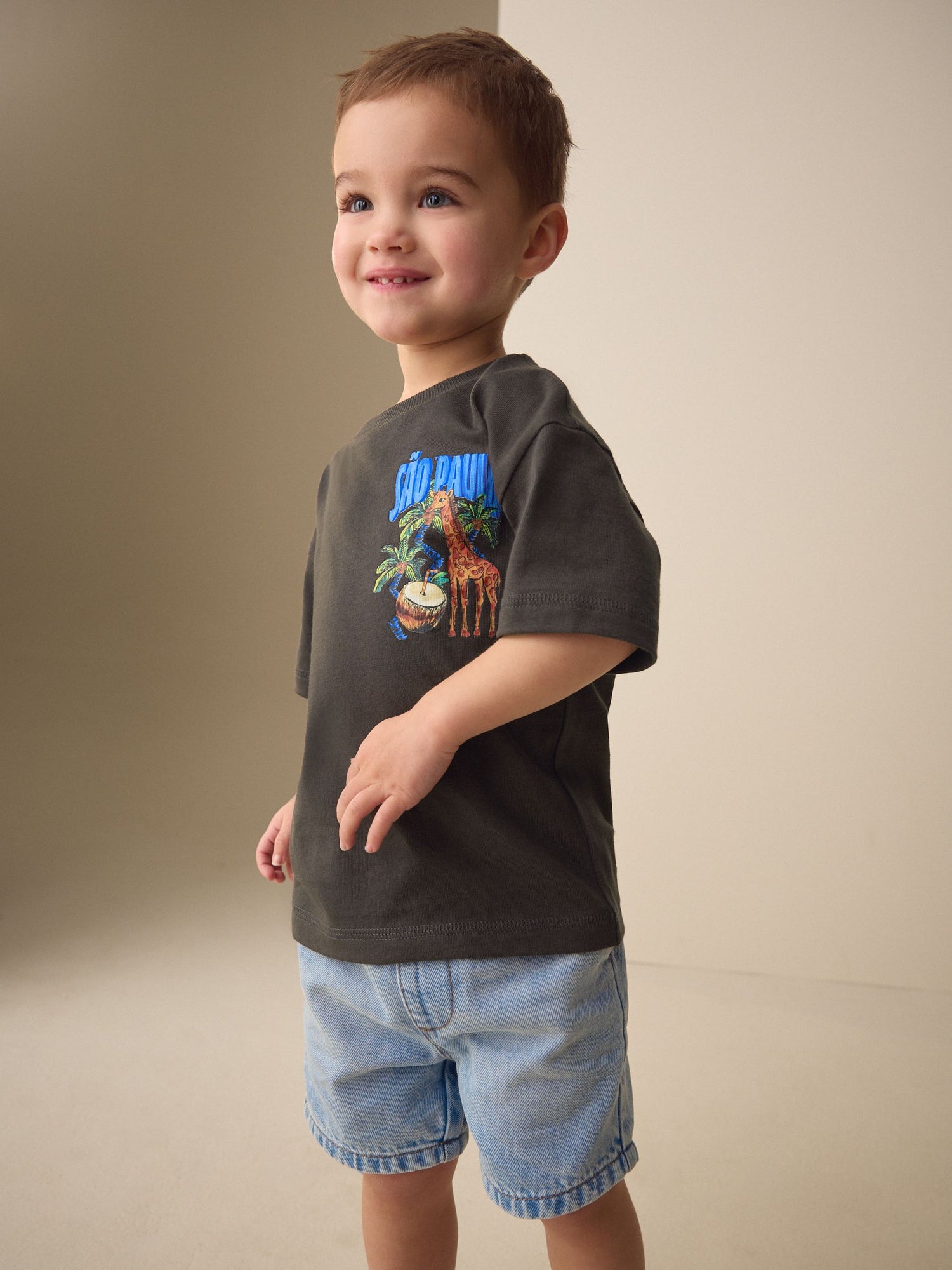 Charcoal Grey Sao Paulo Short Sleeve Back Print T-Shirt (3mths-7yrs) - Size 3-6 Months (62-68cm)