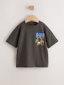 Charcoal Grey Sao Paulo Short Sleeve Back Print T-Shirt (3mths-7yrs) - Size 3-6 Months (62-68cm)