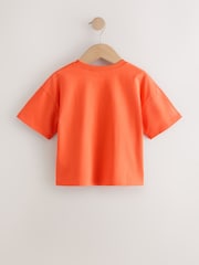 Orange Cat Short Sleeve T-Shirt (3mths-7yrs) - Size 3-6 Months (62-68cm)