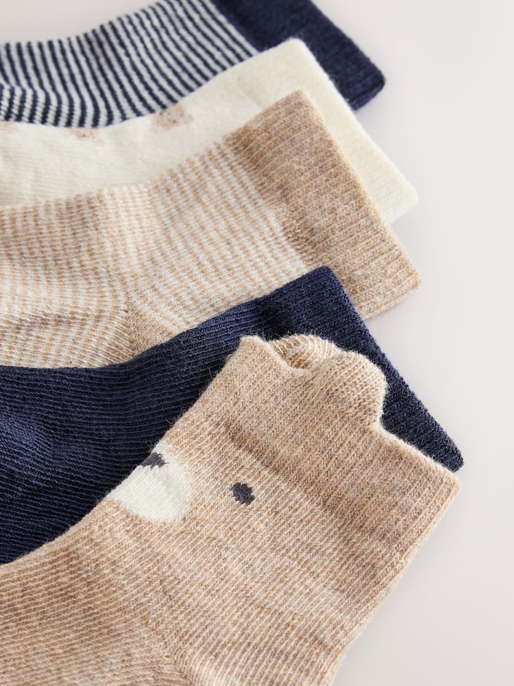 Navy/Neutral Bear