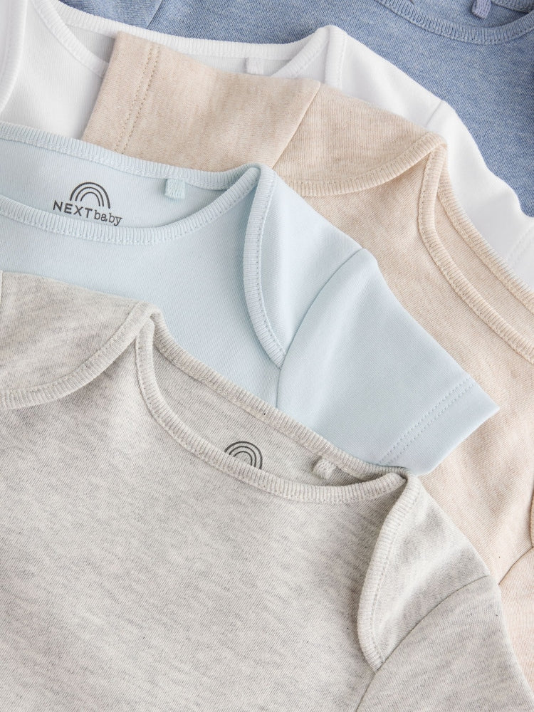 Grey/Blue/Neutral