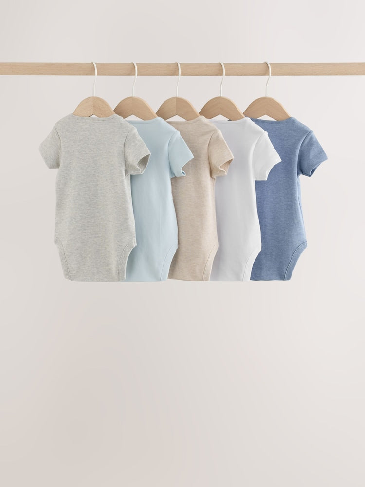 Grey/Blue/Neutral