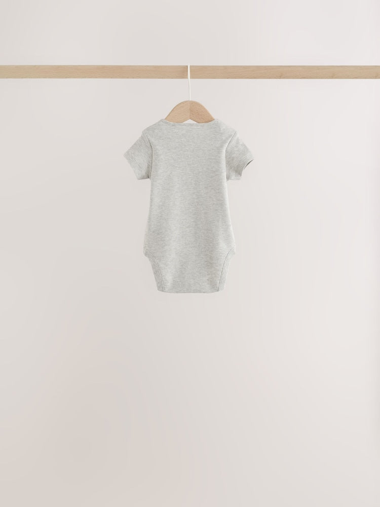 Grey/Blue/Neutral