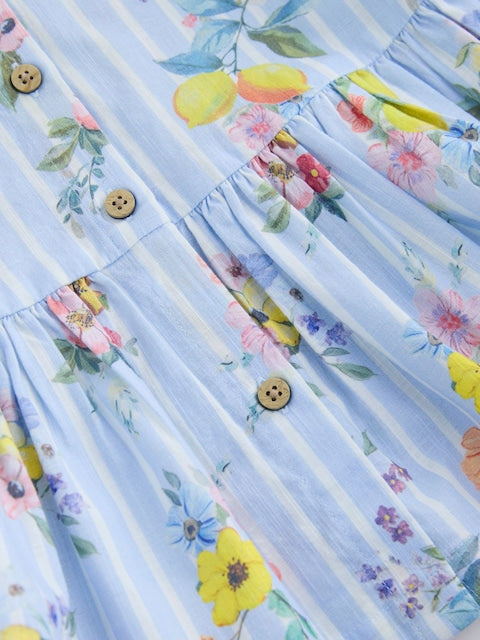 Blue/White Stripe Floral Short Sleeve Cotton Dress (3mths-8yrs)