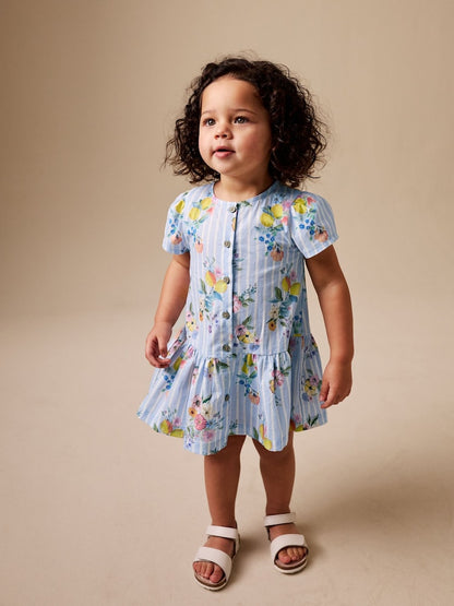 Blue/White Stripe Floral Short Sleeve Cotton Dress (3mths-8yrs)