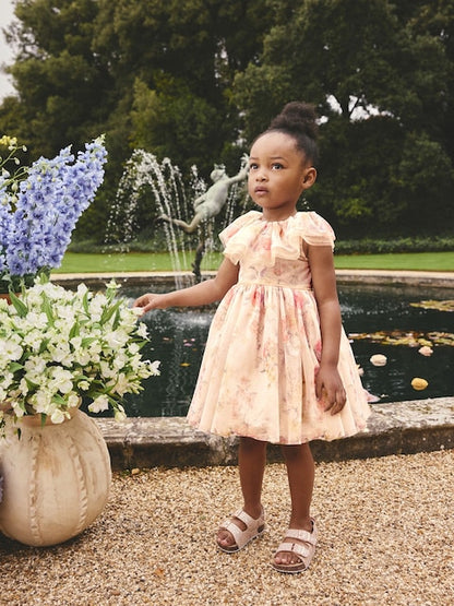 Cream Ruffle Collar Mesh Dress (3mths-7yrs)
