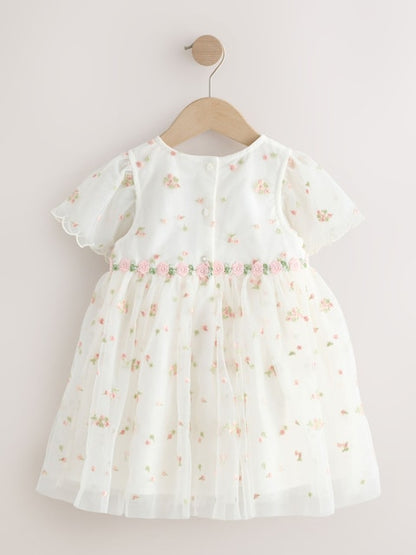 Ivory Embroidered Mesh Dress (3mths-8yrs)